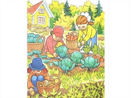 Сбор урожая для детей