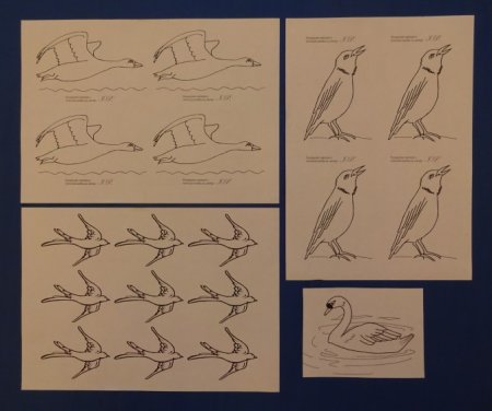 Перелетные птицы старшая группа