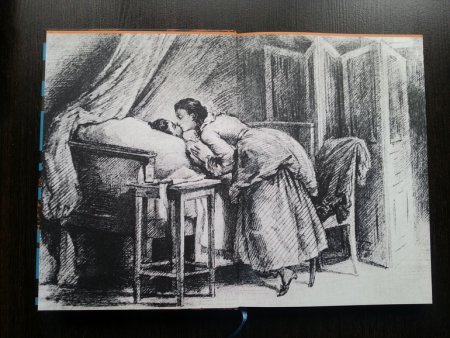 Иллюстрации к роману Капитанская дочка легкие