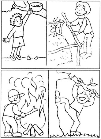 Экология для детей дошкольного возраста