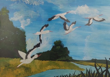 Карта Родный Кут