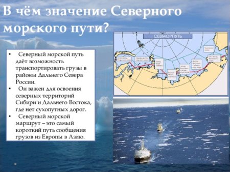 Значение Северного морского пути