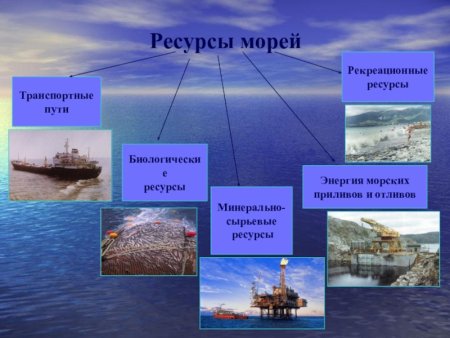 Крупнейшие морские Порты зарубежной Азии на контурной карте