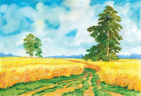 Пейзаж поле для детей детского сада