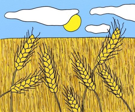 Рисование поле пшеницы