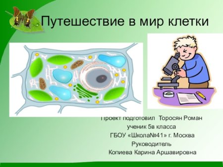 Путешествие в мир клеток сообщение