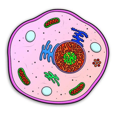 Живая клетка