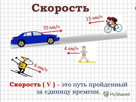 Рисунок к задачам на скорость