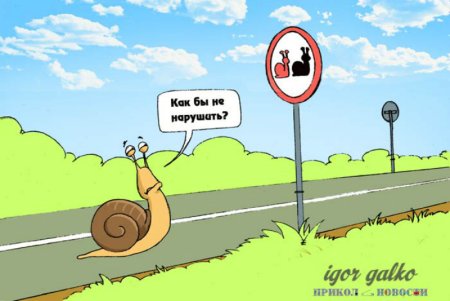 Смешные приколы про скорость