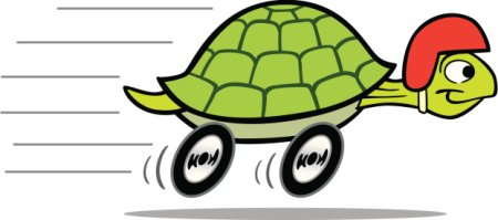 Черепаха в шлеме