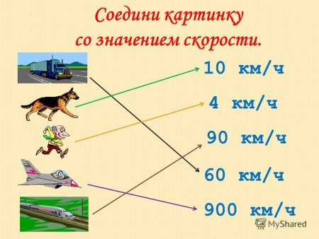 Скорость движения животных таблица