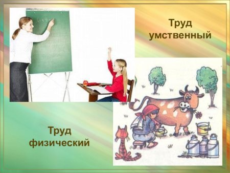 Умственный и физический труд