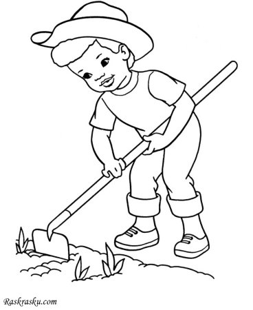 Профессии картинки