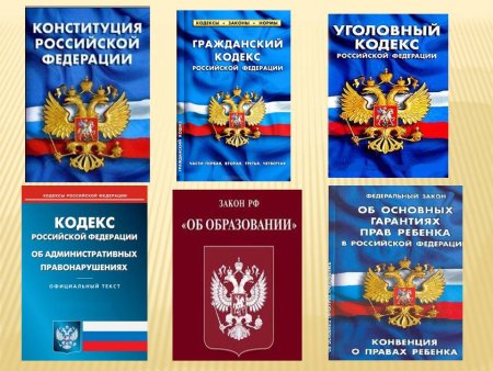 Конституция и кодексы