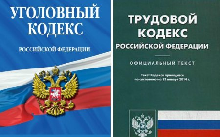Трудовой кодекс Российской Федерации книга 2020
