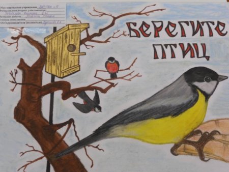 Птица рисунок для детей