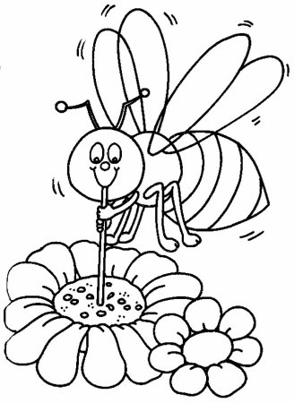 Насекомые раскраска для детей