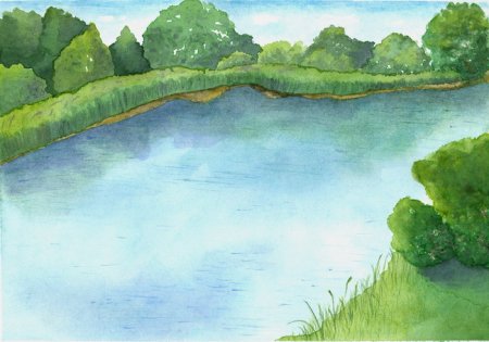 Пруд карандашом