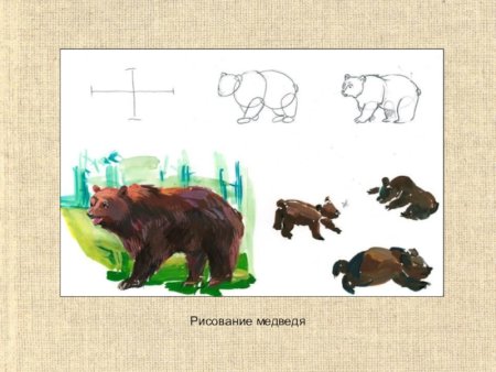 Изображение характера животных