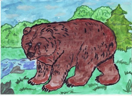 Медведь рисунок