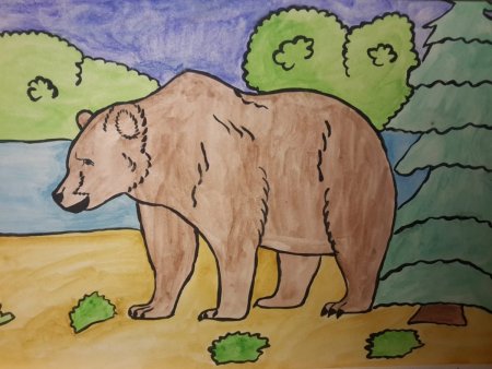 Медведь раскраска