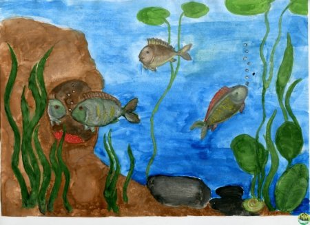 Рисование обитатели водоемов