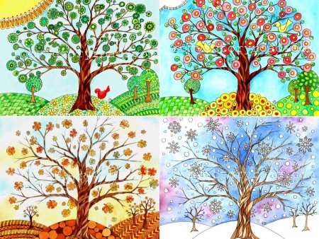 Дерево в разные времена года