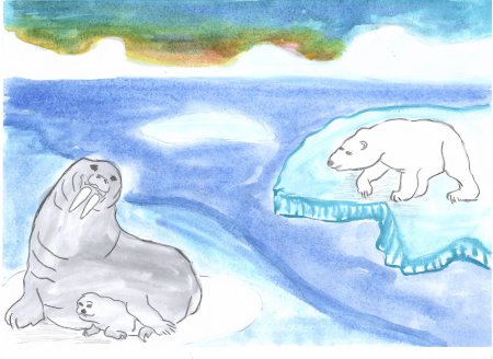 Рисование на тему Арктика