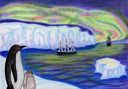 Арктика рисунок