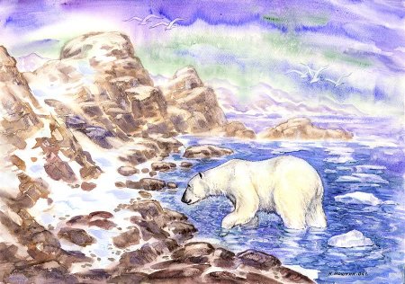 Арктика рисунок