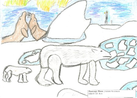 Арктика рисунок