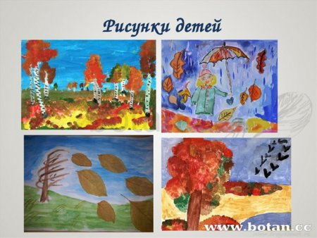 Иллюстрация к пьесе октябрь Чайковского