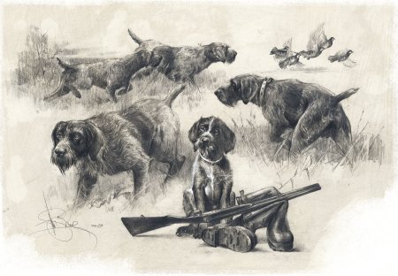 Джим Киллен птицы