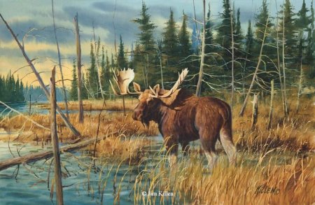 Тату охотника