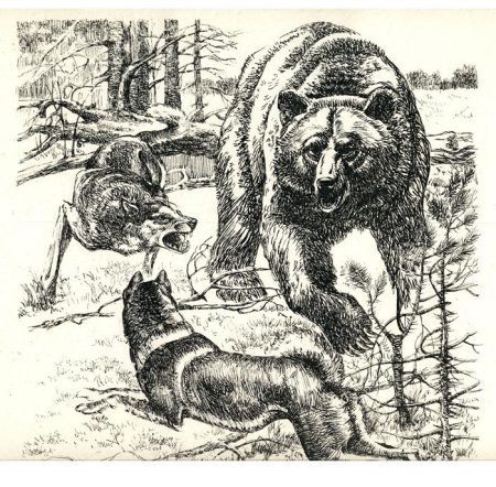 Охотник Графика