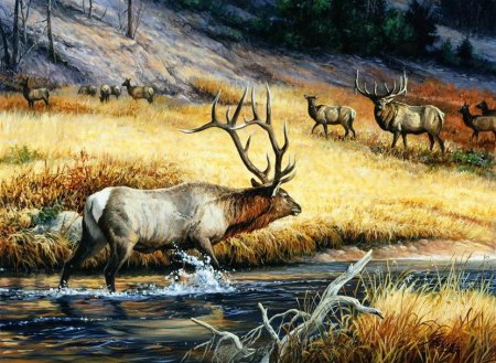 Собачьи упряжки в живописи