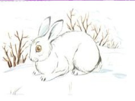 Георгий Скребицкий белая шубка