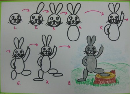 Рисование заяц хваста в старшей группе