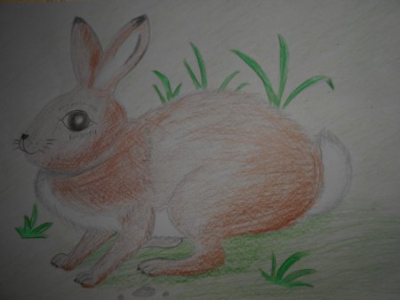 Нарисовать заячьи лапы