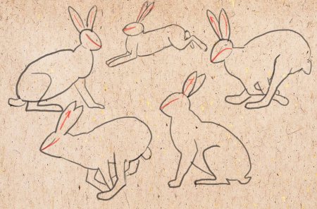 Рисование зайца