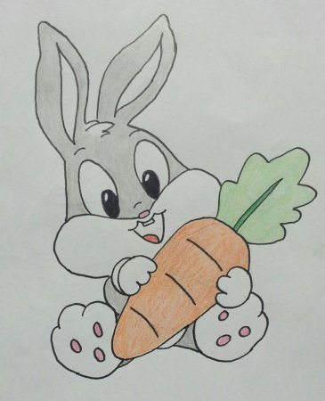 Раскраски. Животные