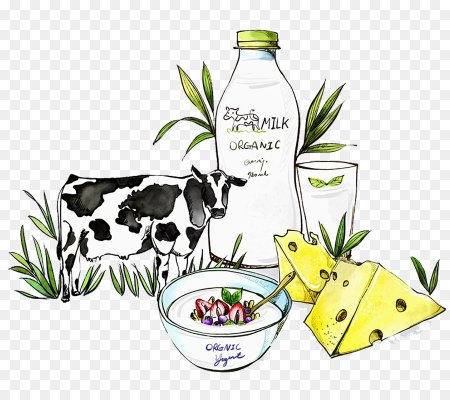 Молочные продукты рисунок