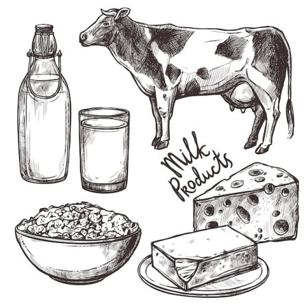 Корова молоко