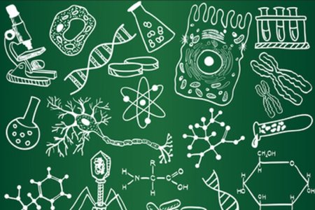 Терминология по биологии