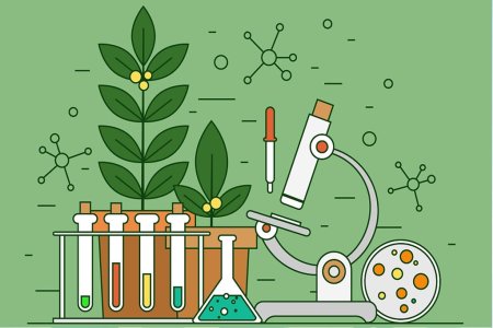 Химия и биология