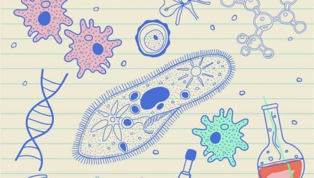 Биология рисунки