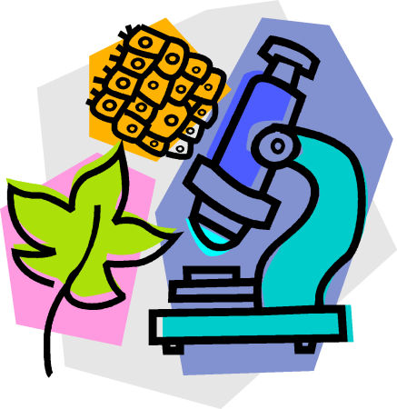 Биология иллюстрации