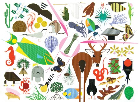 Биологические иллюстрации