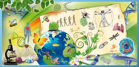 Биология рисунки