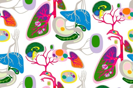 Биологические иллюстрации